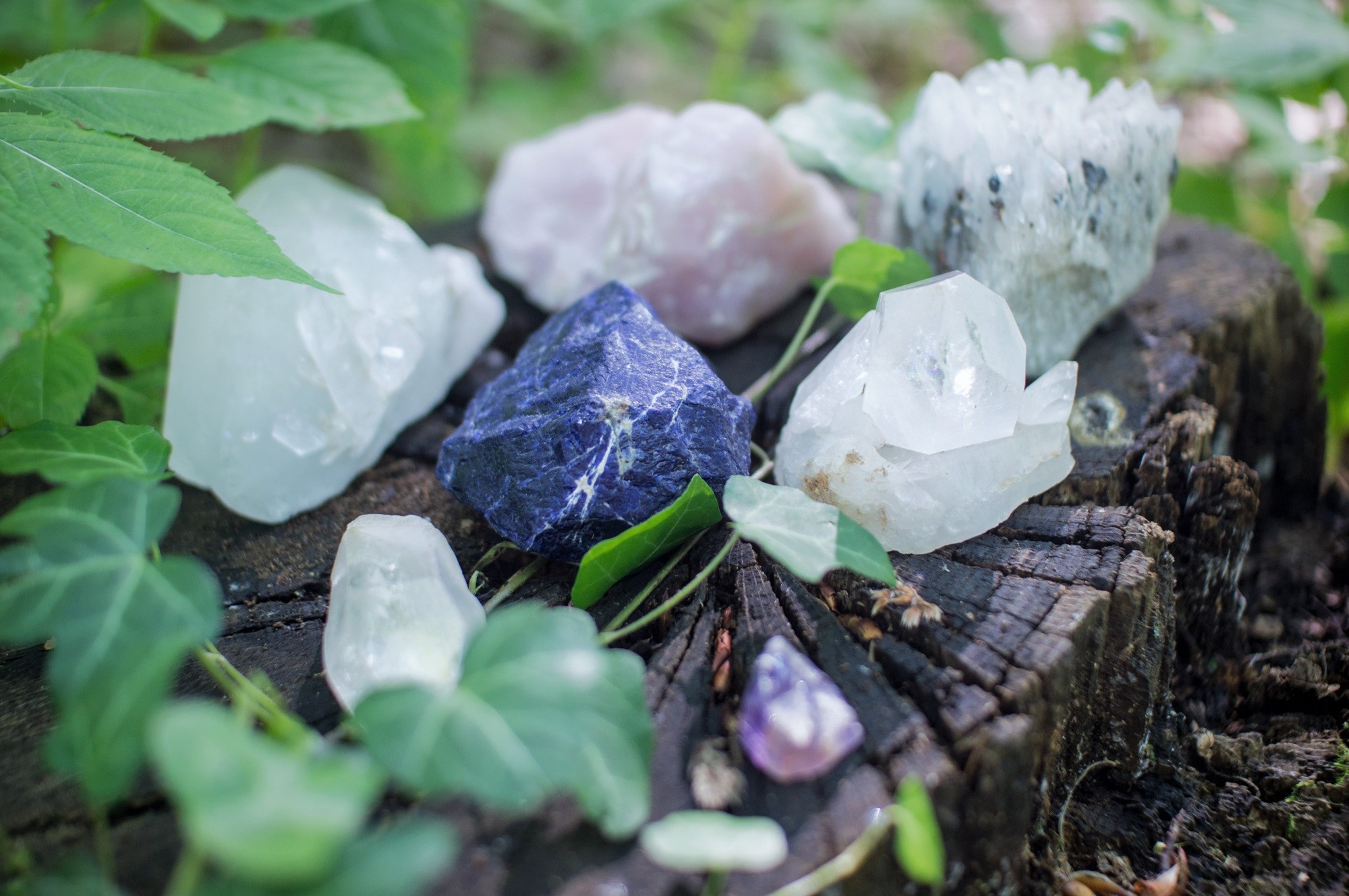 A collection of crystals placed on a tree stump outdoors