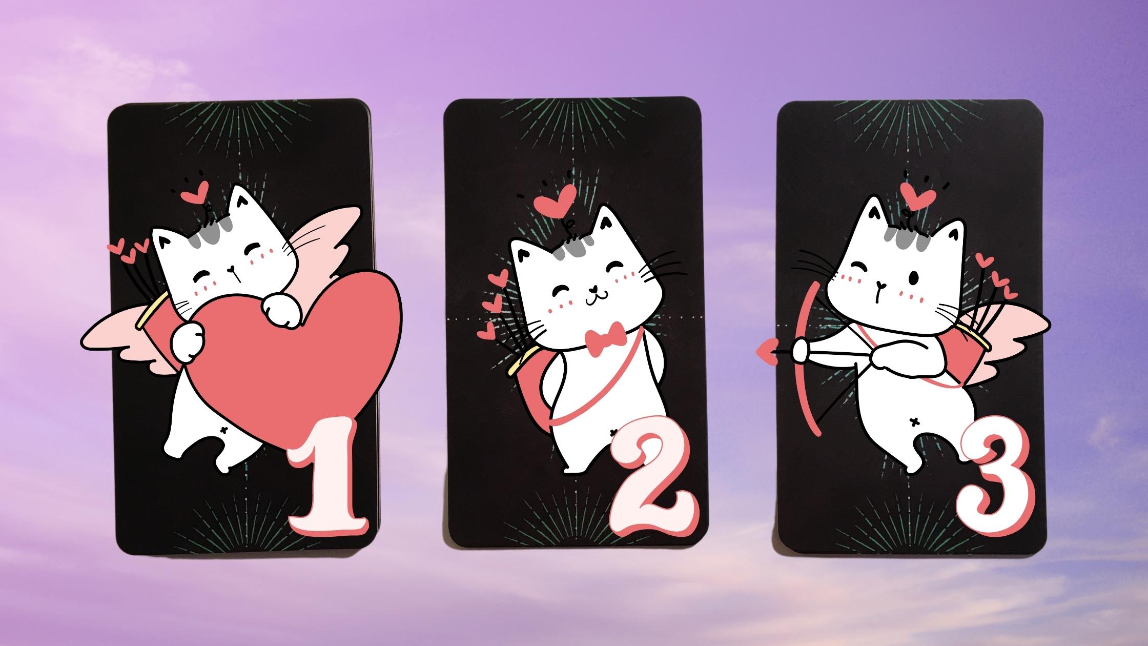 Three tarot cards with cupid cats on them