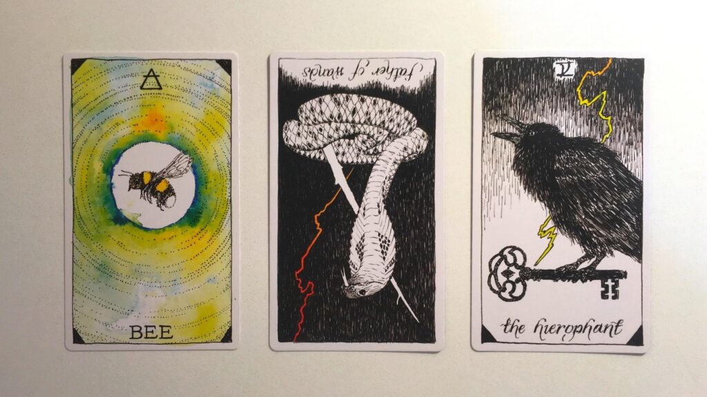 Card from the Animal Spirit Oracle and two cards from the Wild Unknown Tarot deck