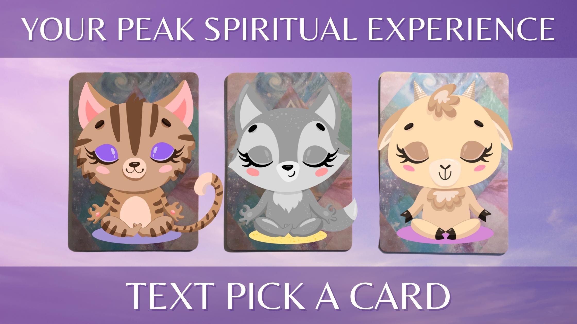 Three tarot and oracle pick a card piles with meditating animals on them