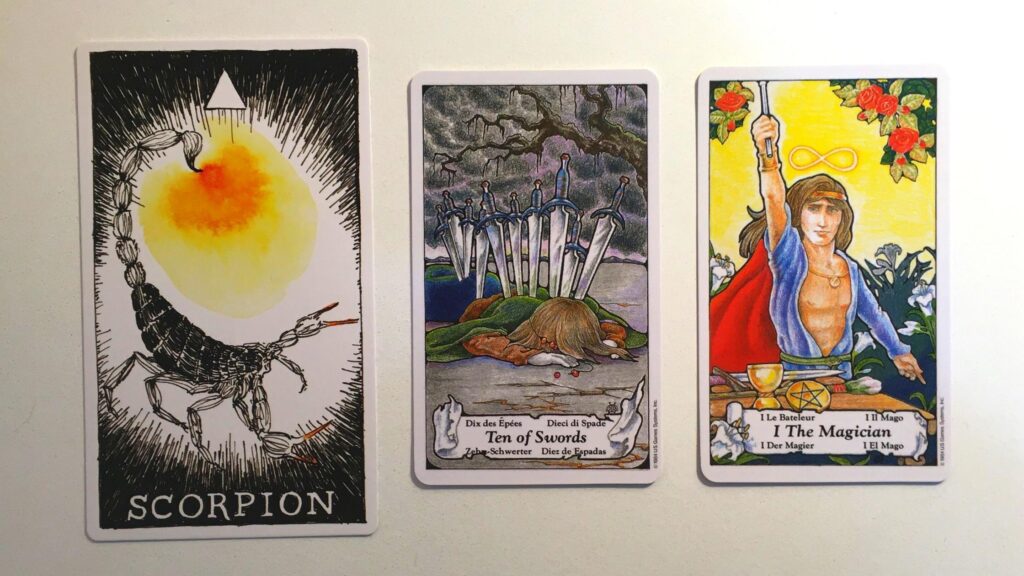 Card from the Animal Spirit Oracle and two cards from the Hanson-Roberts Tarot decks