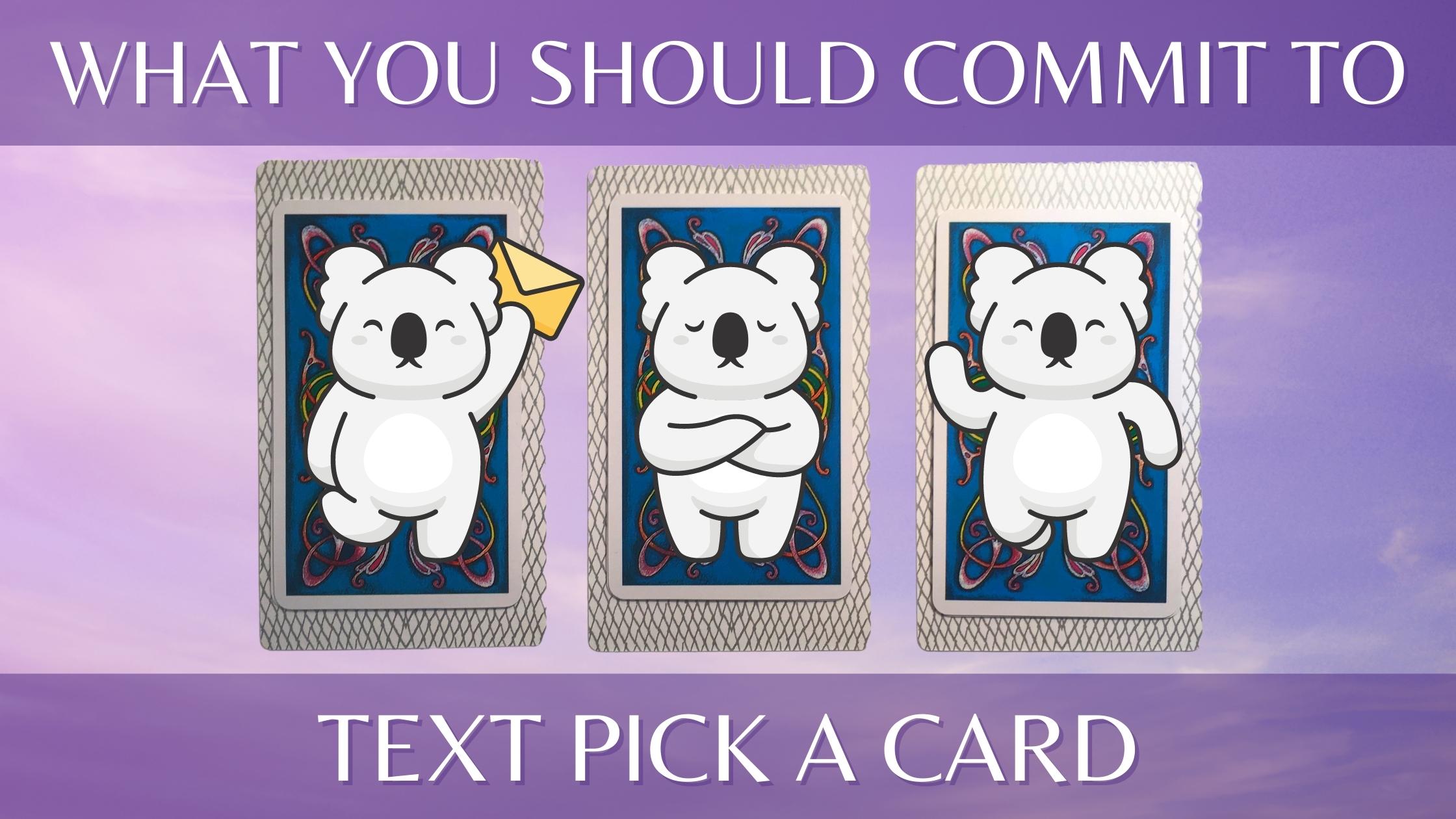 Three tarot and oracle pick a card piles with koalas on them