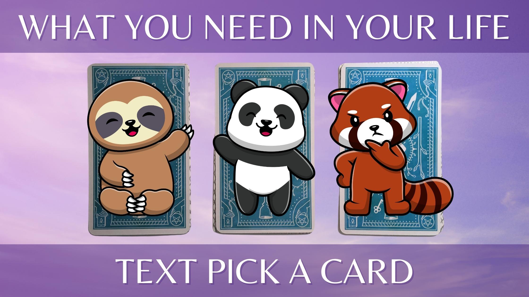 Three tarot and oracle pick a card piles with cute animals on them