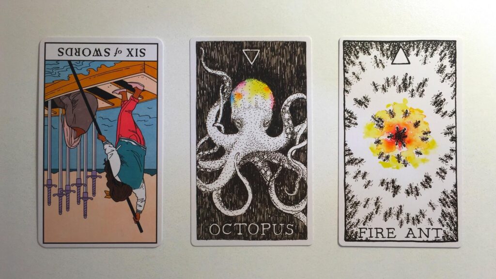 Card from the Modern Witch Tarot and two cards from the Animal Spirit Oracle decks