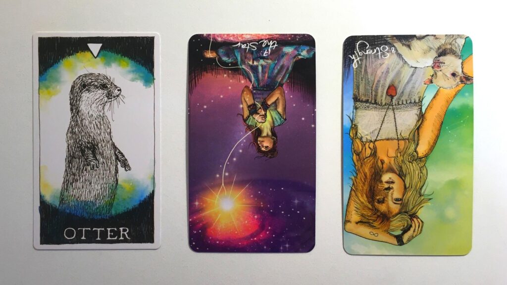 Card from the Animal Spirit Oracle and two cards from the Light Seer's Tarot decks