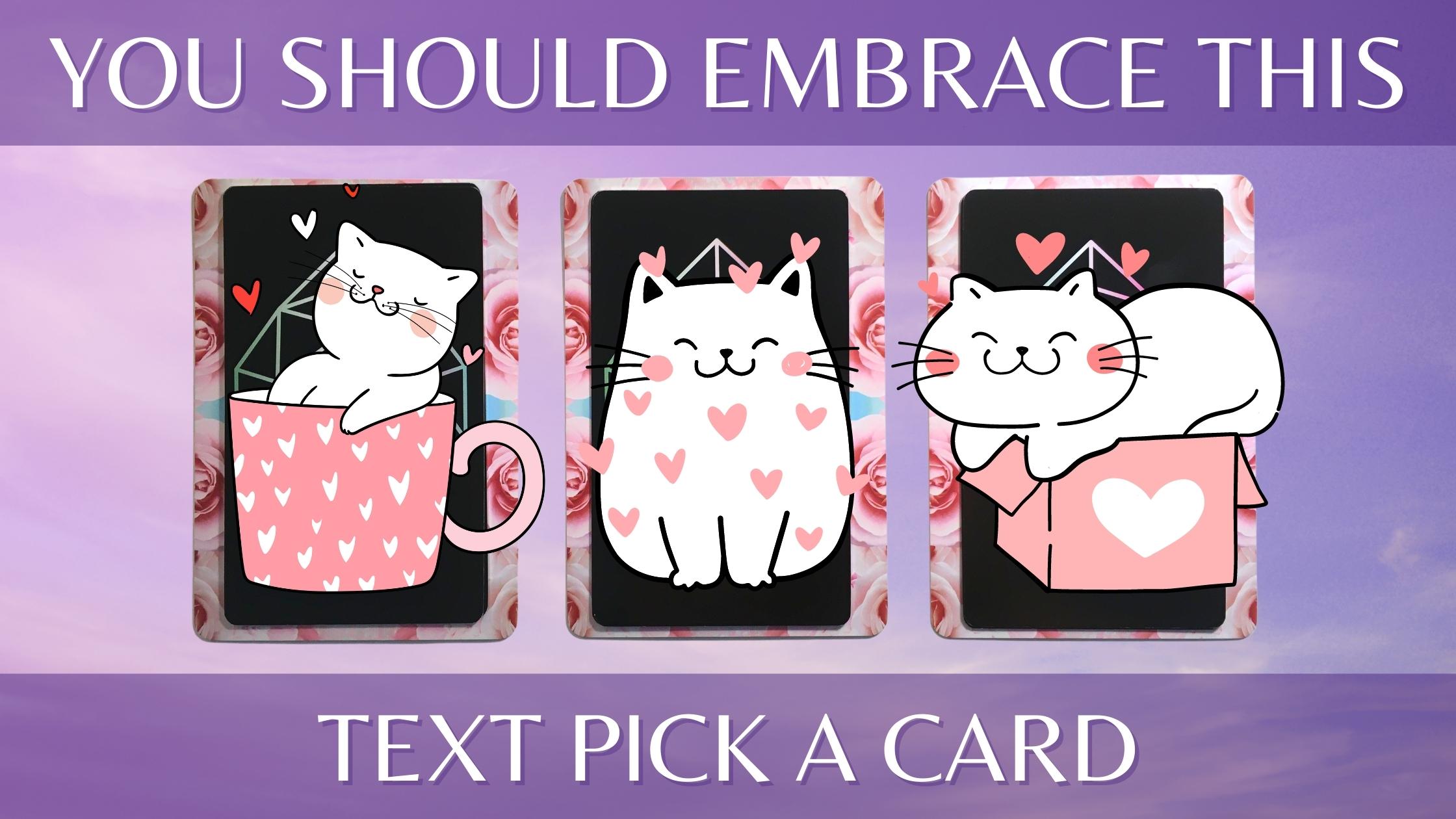 Three tarot and oracle pick a card piles with cats on them