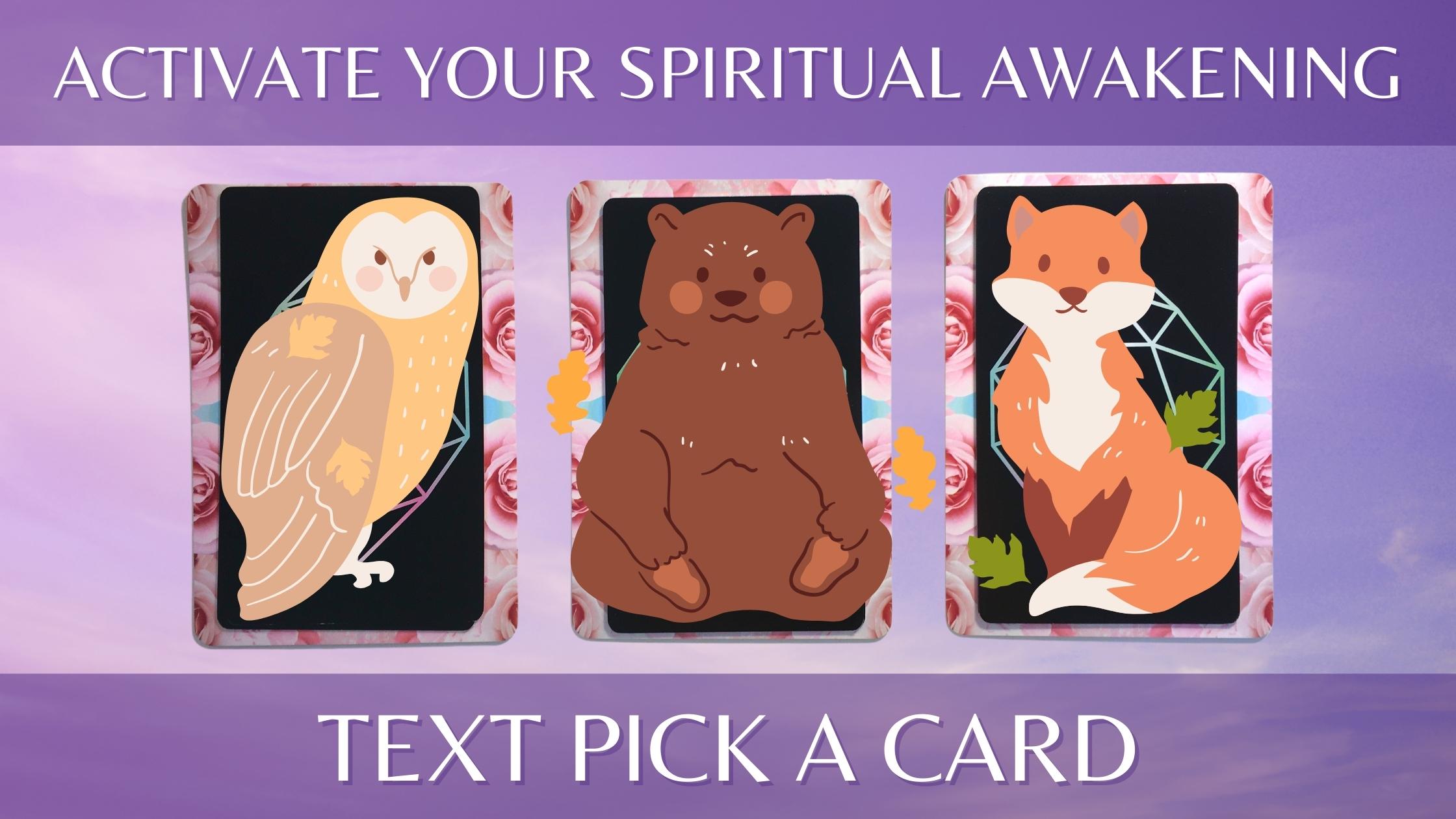 Three tarot and oracle pick a card piles with cute animals on them