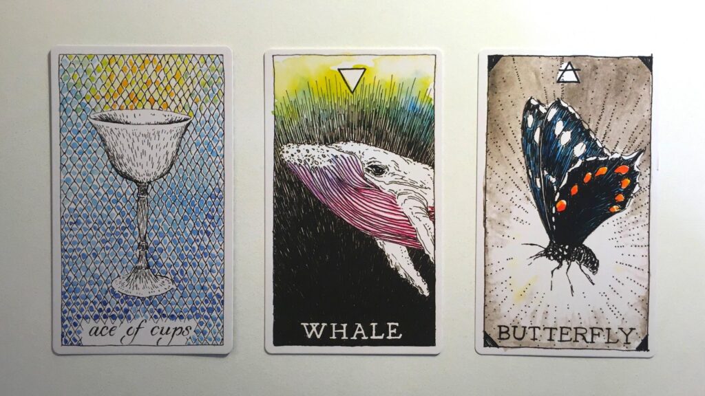 Card from the Wild Unknown Tarot and two cards from the Animal Spirit Oracle