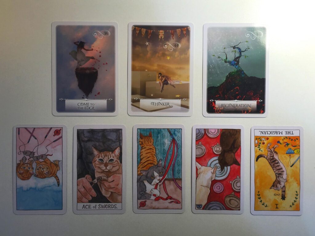 Cards from the Wisdom of the Oracle and Cat Tarot decks