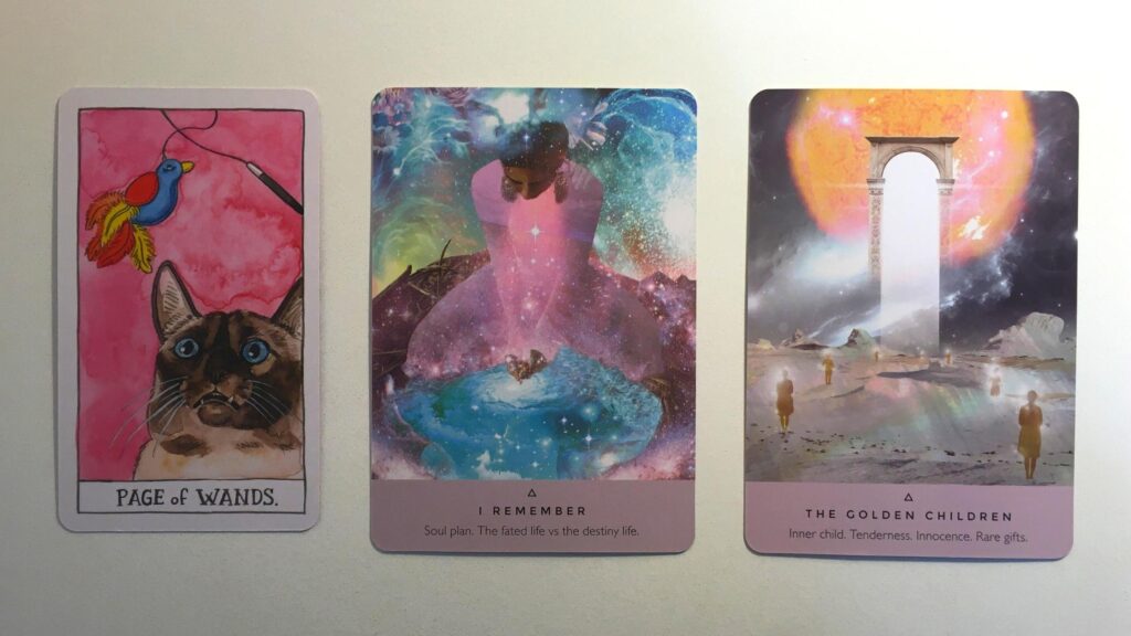 Cards from the Cat Tarot and Starseed Oracle Decks