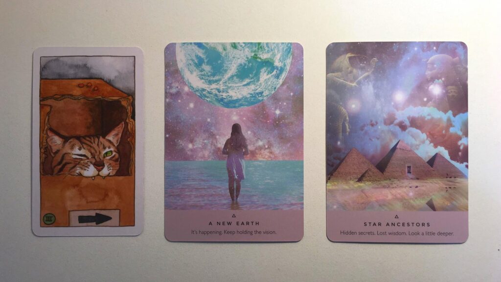 Cards from the Cat Tarot and Starseed Oracle Decks