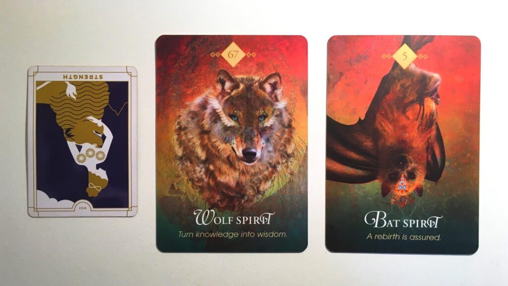 Cards from the Everyday Tarot and Animal Spirit Oracle decks