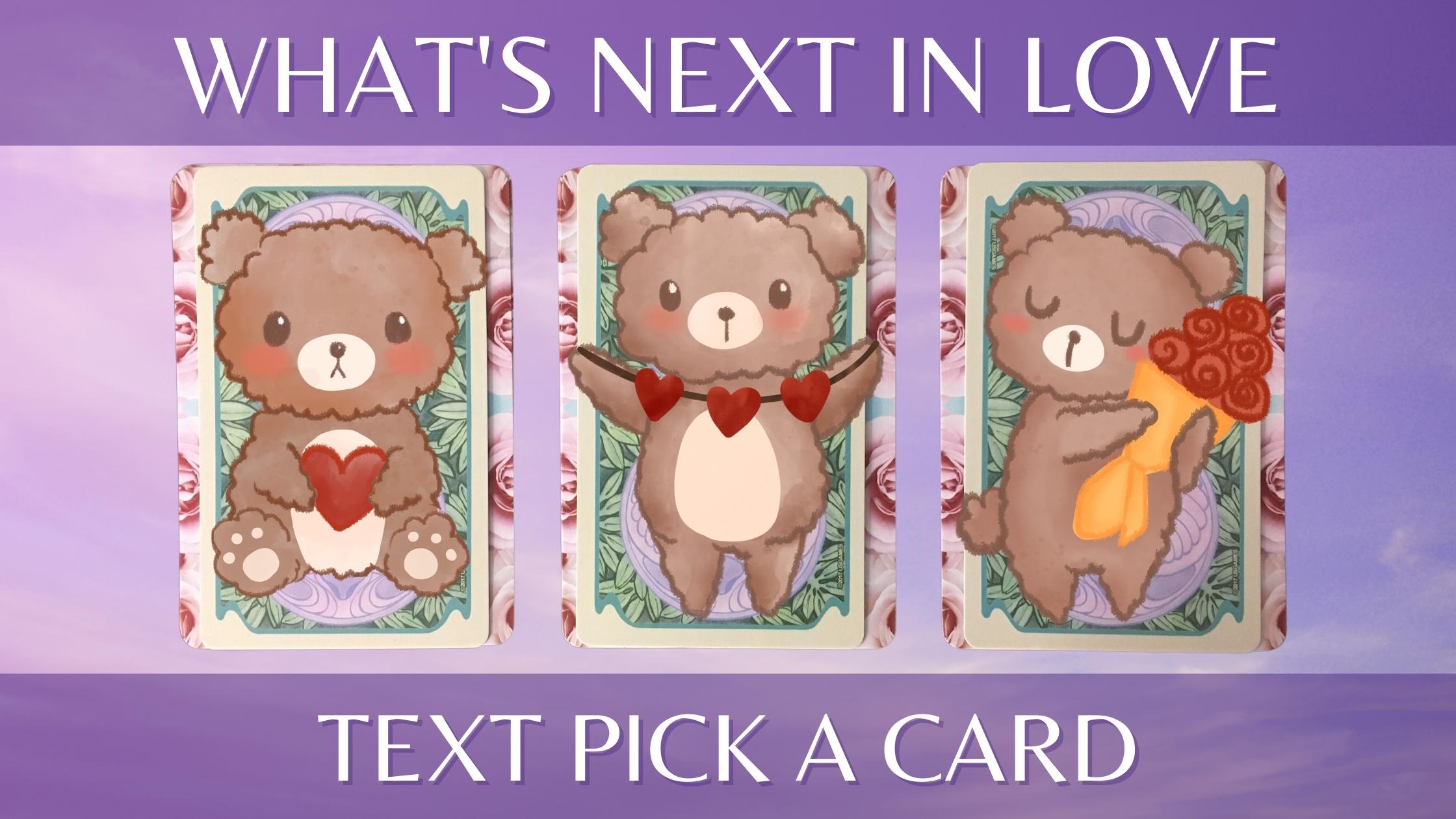 Three tarot and oracle pick a card piles with bears on them