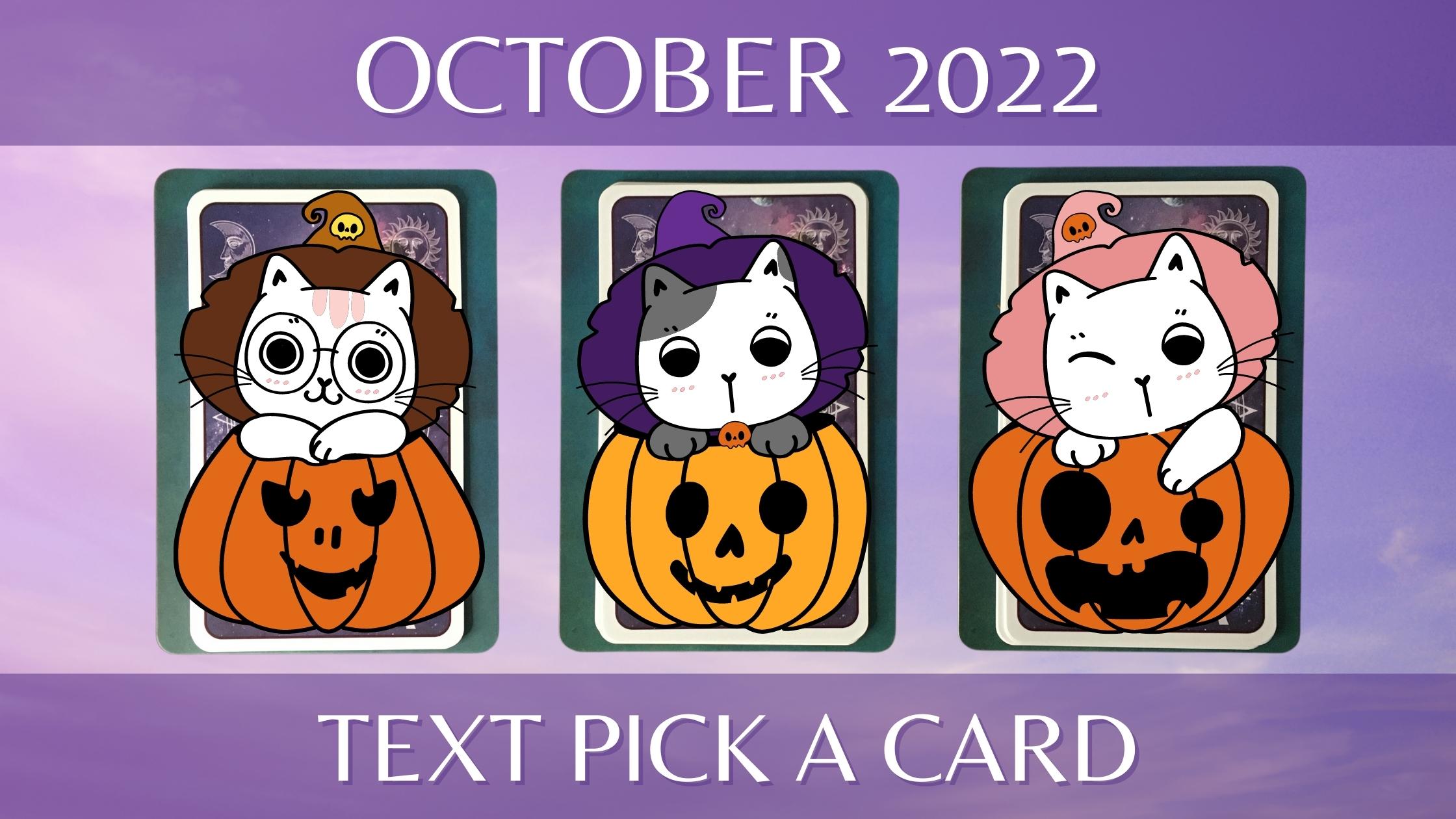 Three tarot and oracle pick a card piles with Halloween cats on them