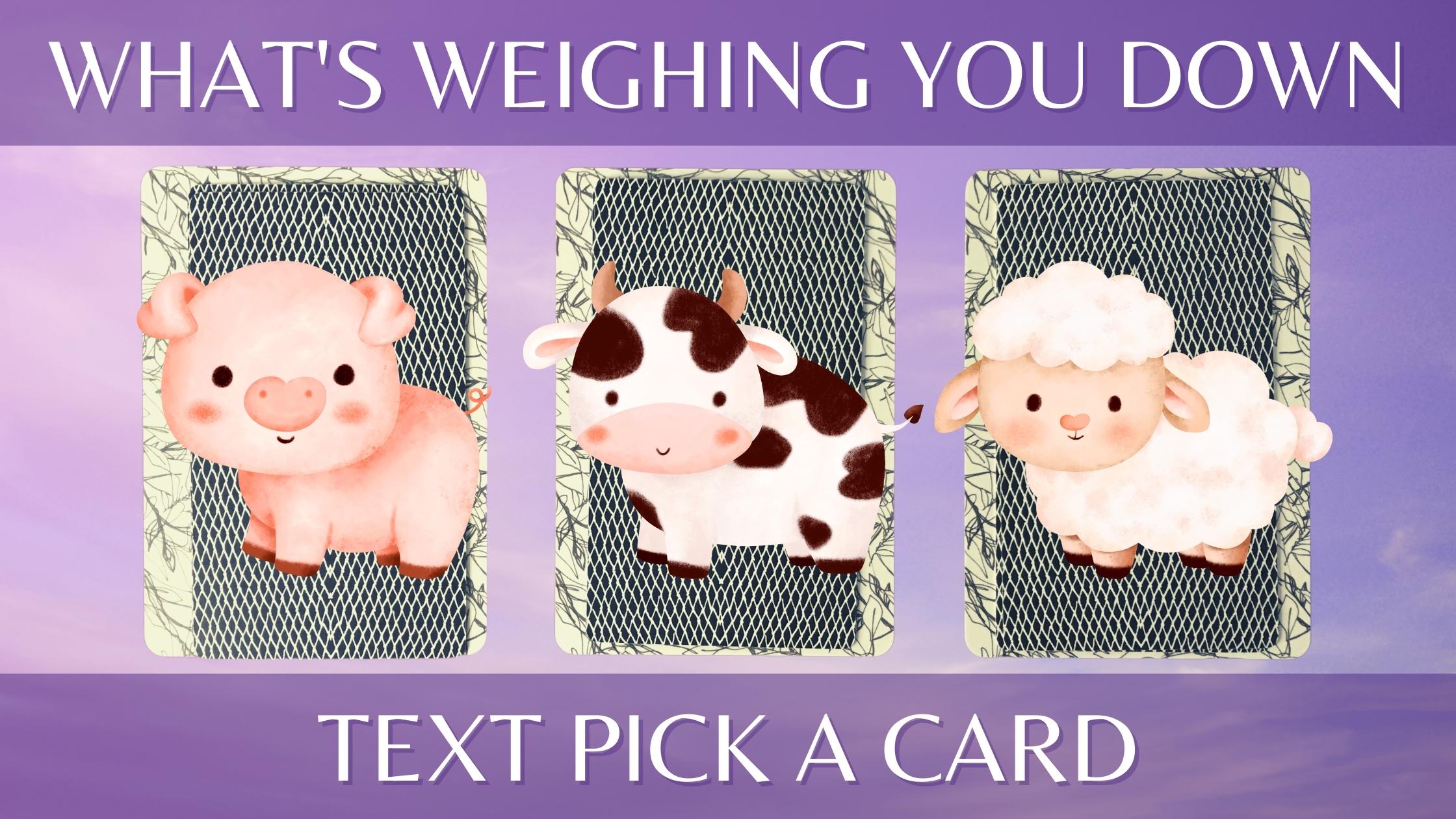 Three tarot and oracle pick a card piles with barnyard animals on them