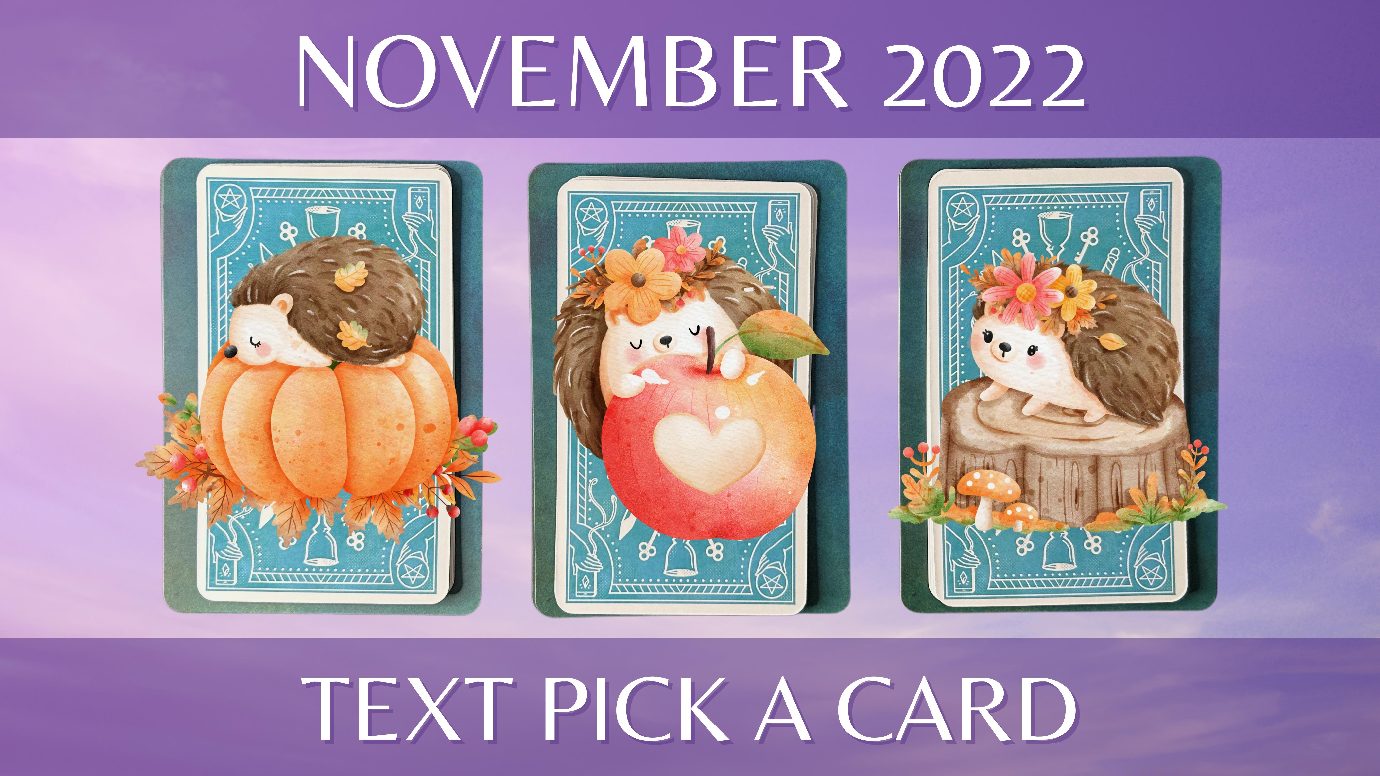 Three tarot and oracle pick a card piles with hedgehogs on them