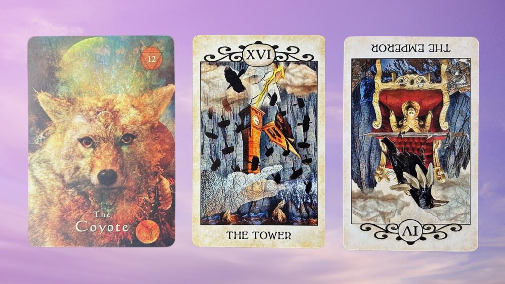 Cards from the Crow Tarot and the Mystical Shaman Oracle decks