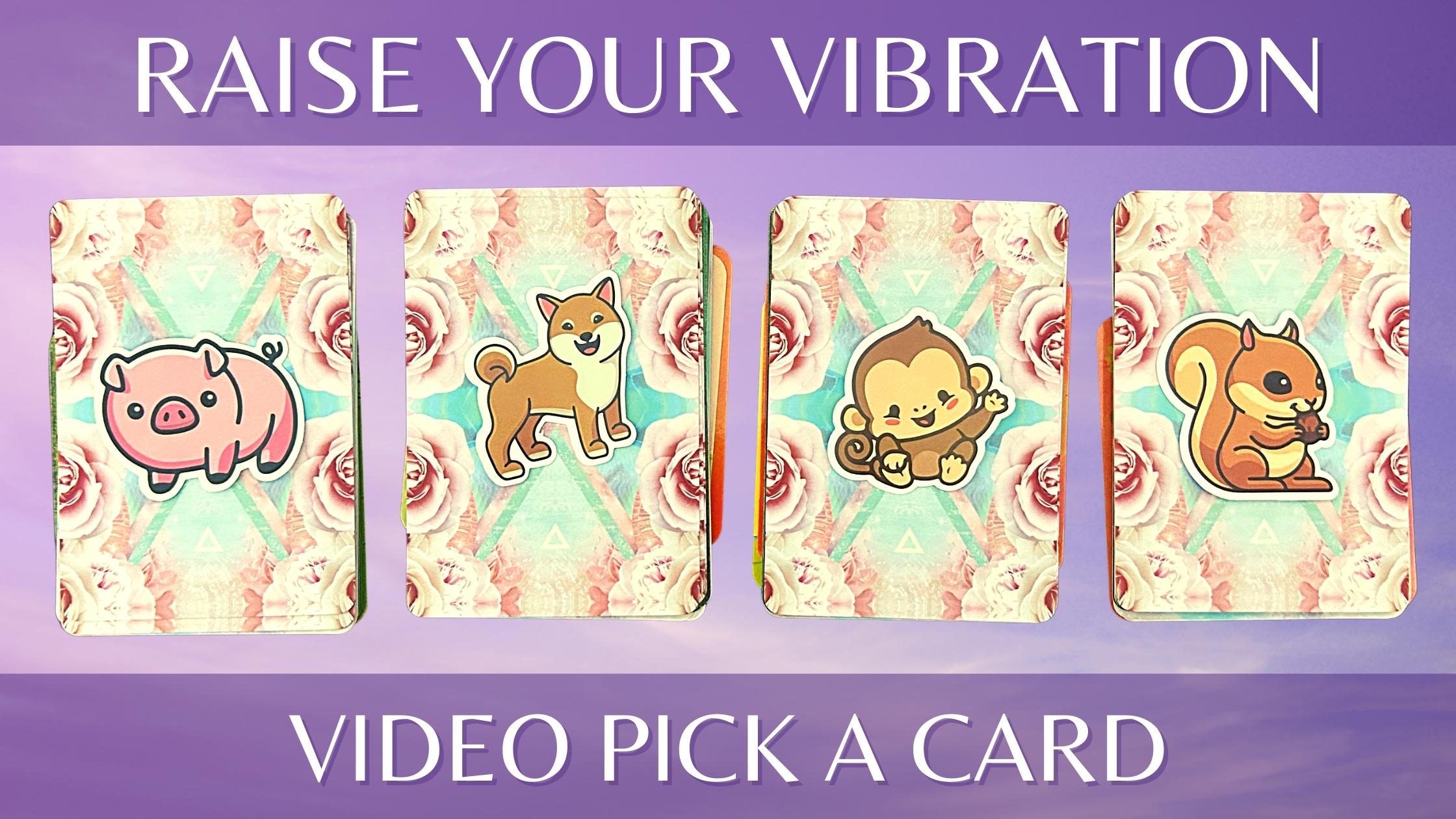 Four tarot and oracle pick a card piles with animals on them