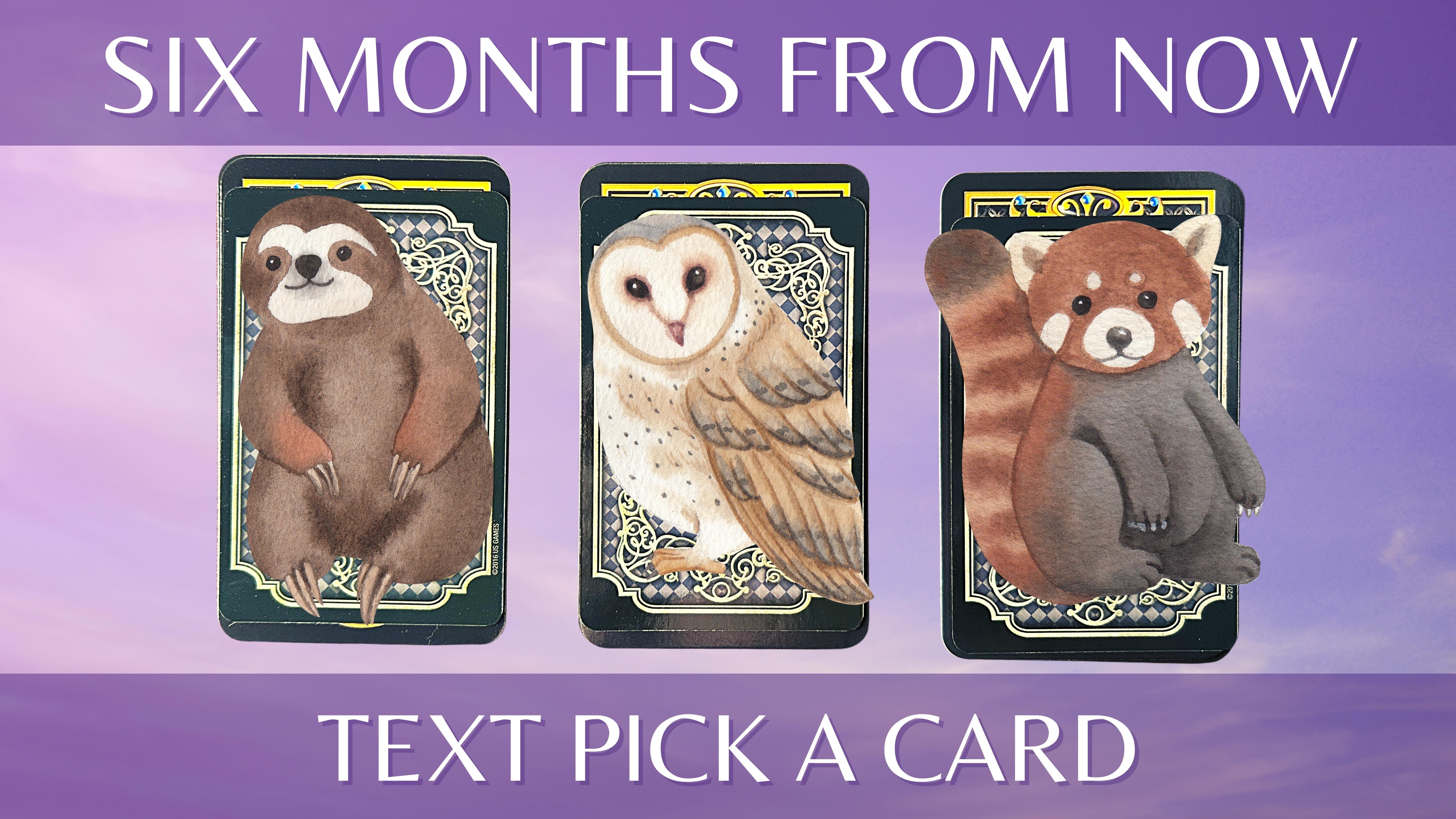 Three tarot and oracle pick a card piles with animals on them