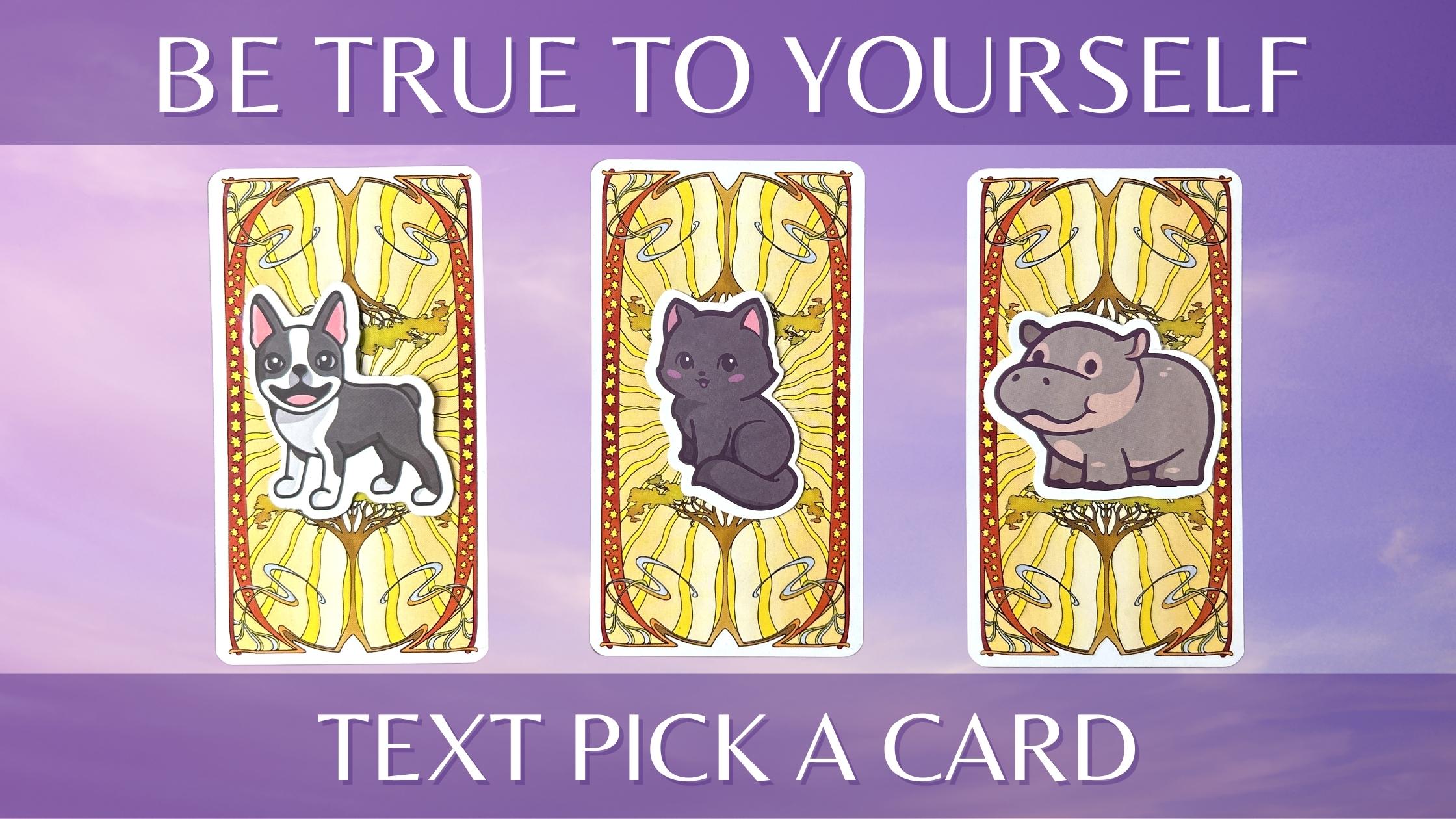 Three tarot and oracle pick a card piles with animal stickers on them