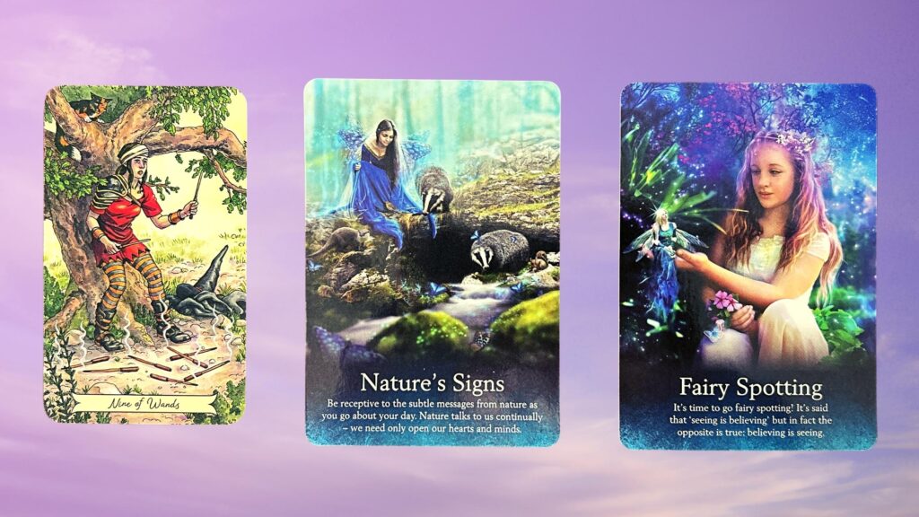 Cards from the Everyday Witch Tarot and the Oracle of the Fairies decks