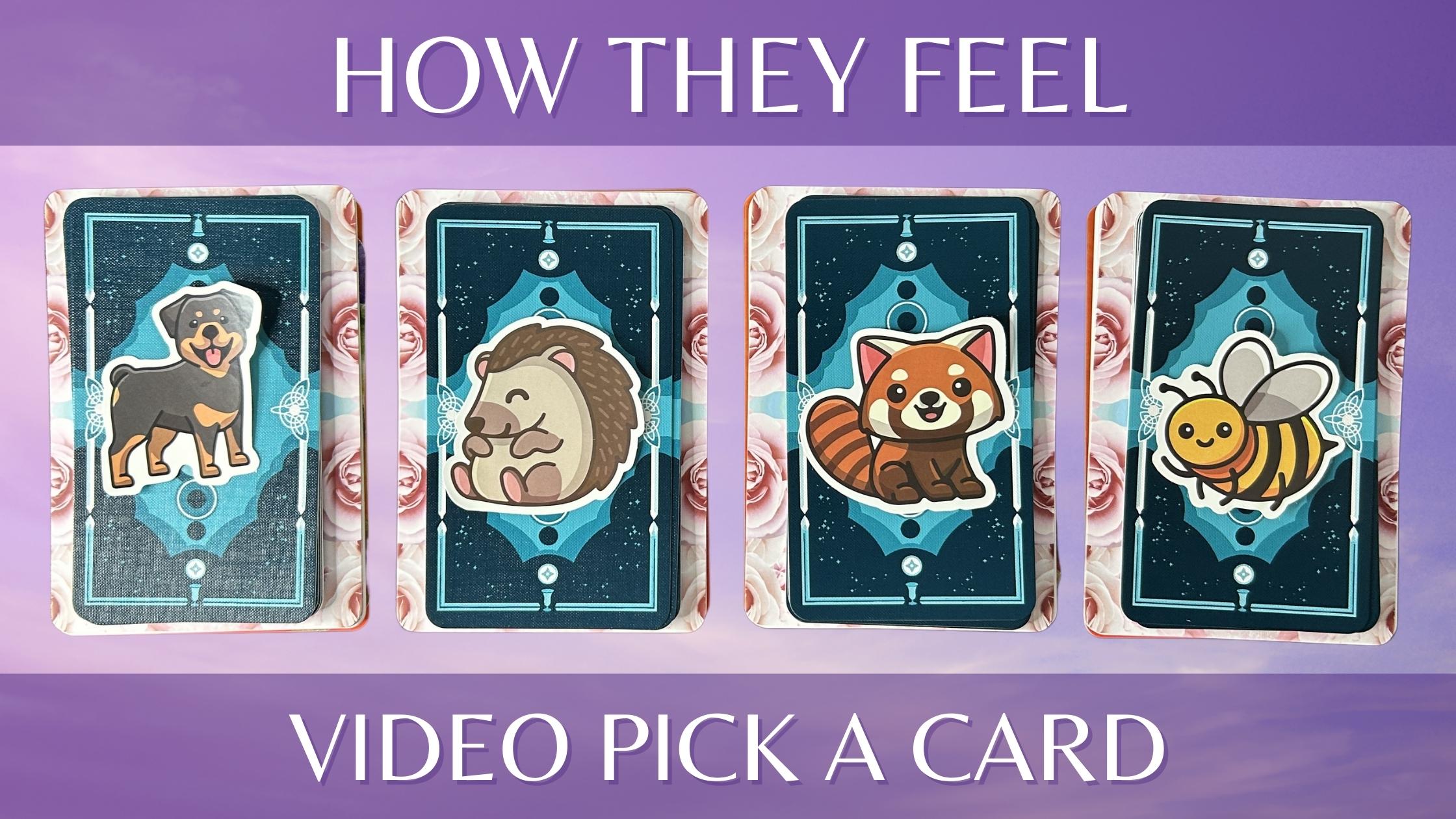 Four tarot and oracle pick a card piles with animal stickers on them