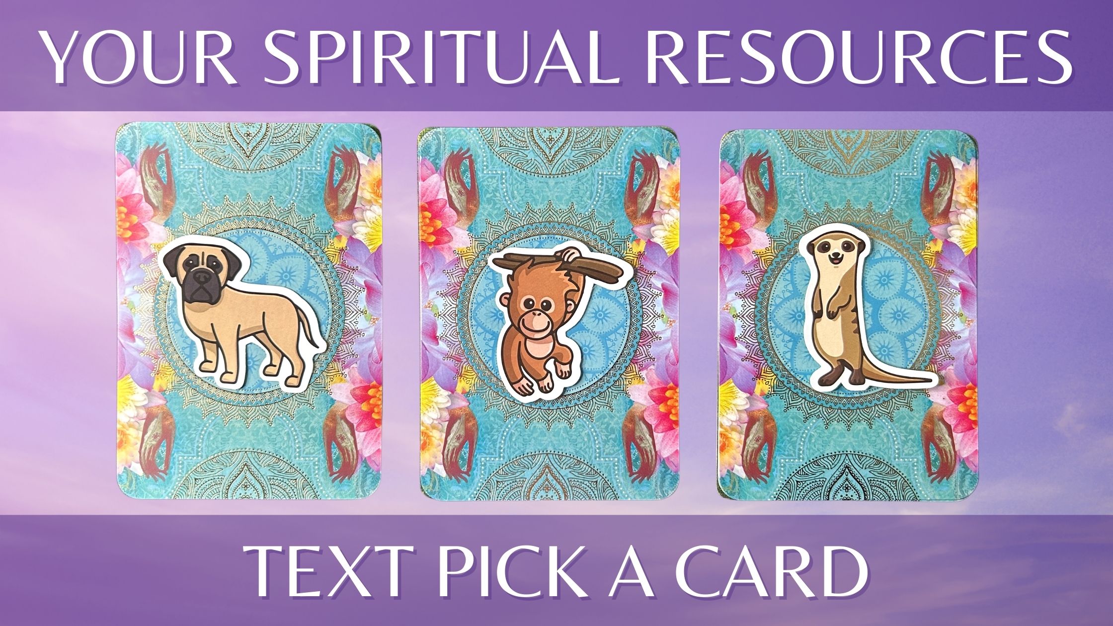 Three tarot and oracle pick a card piles with animal stickers on them