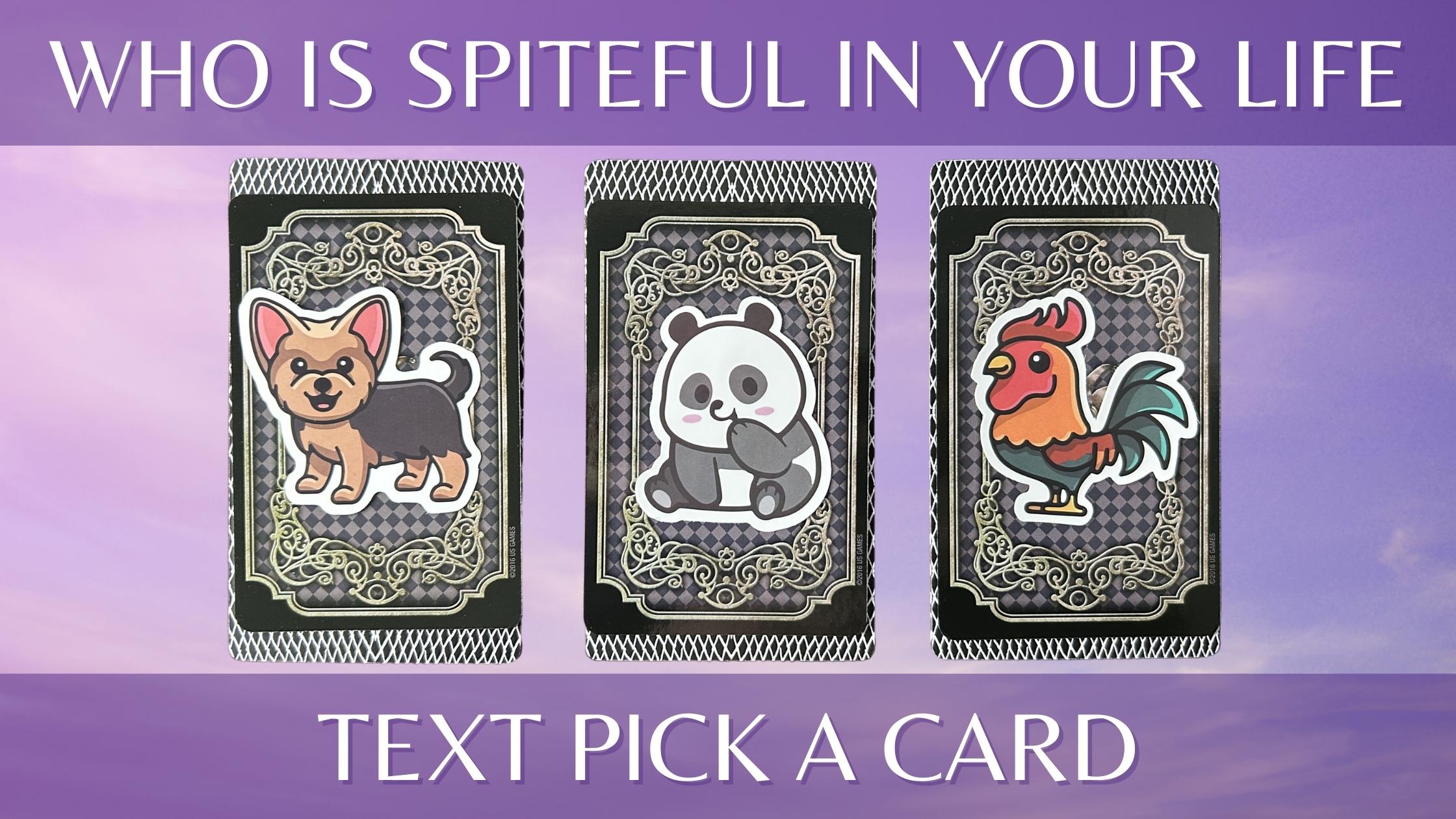 Three tarot and oracle pick a card piles with animal stickers on them