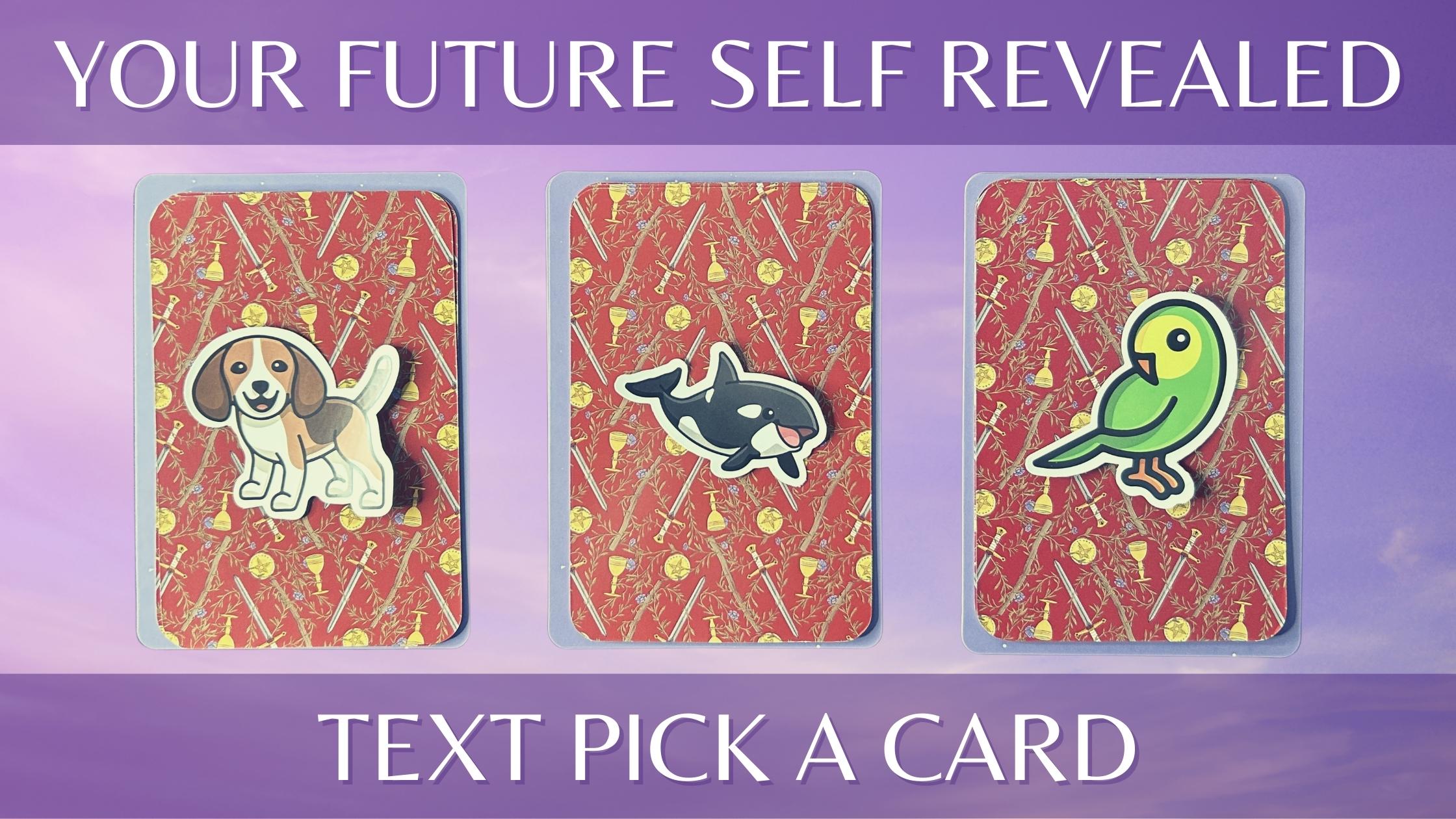 Three tarot and oracle pick a card piles with animal stickers on them