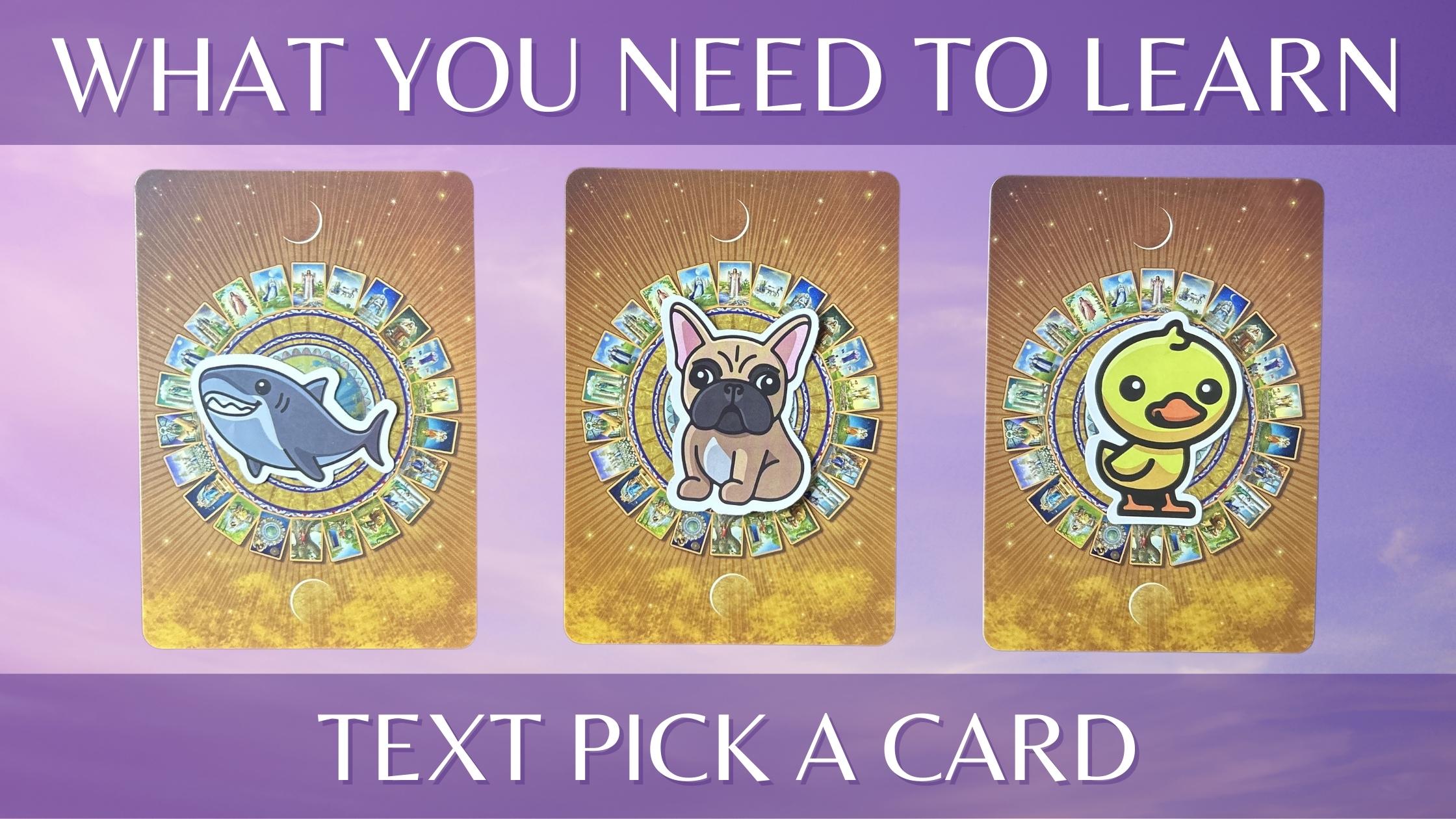 Three tarot and oracle pick a card piles with animal stickers on them