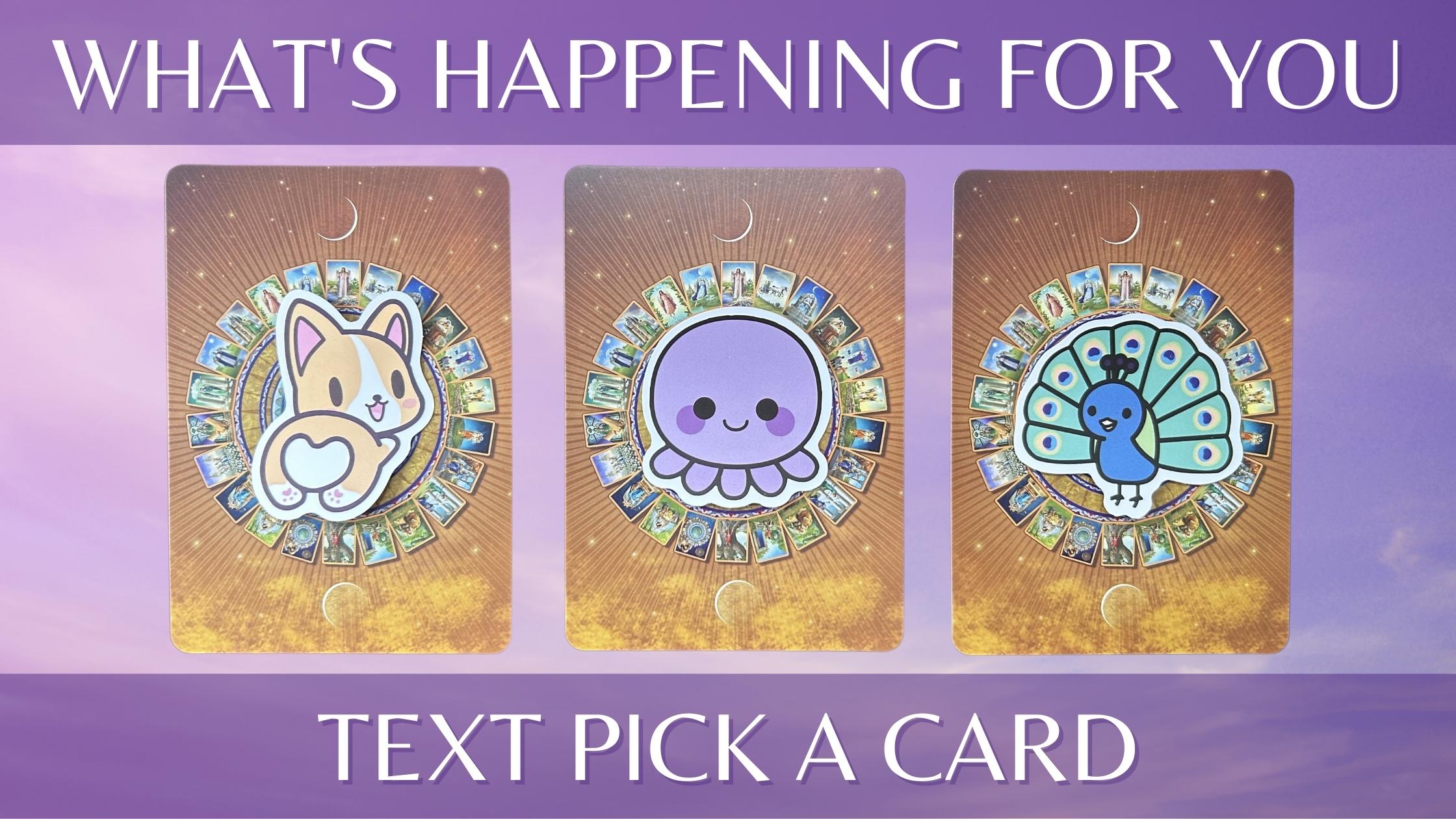 Three tarot card piles with animal stickers on them