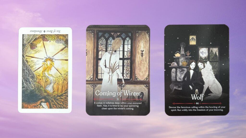 Cards from the Wildwood Tarot and the Seasons of the Witch: Samhain Oracle decks