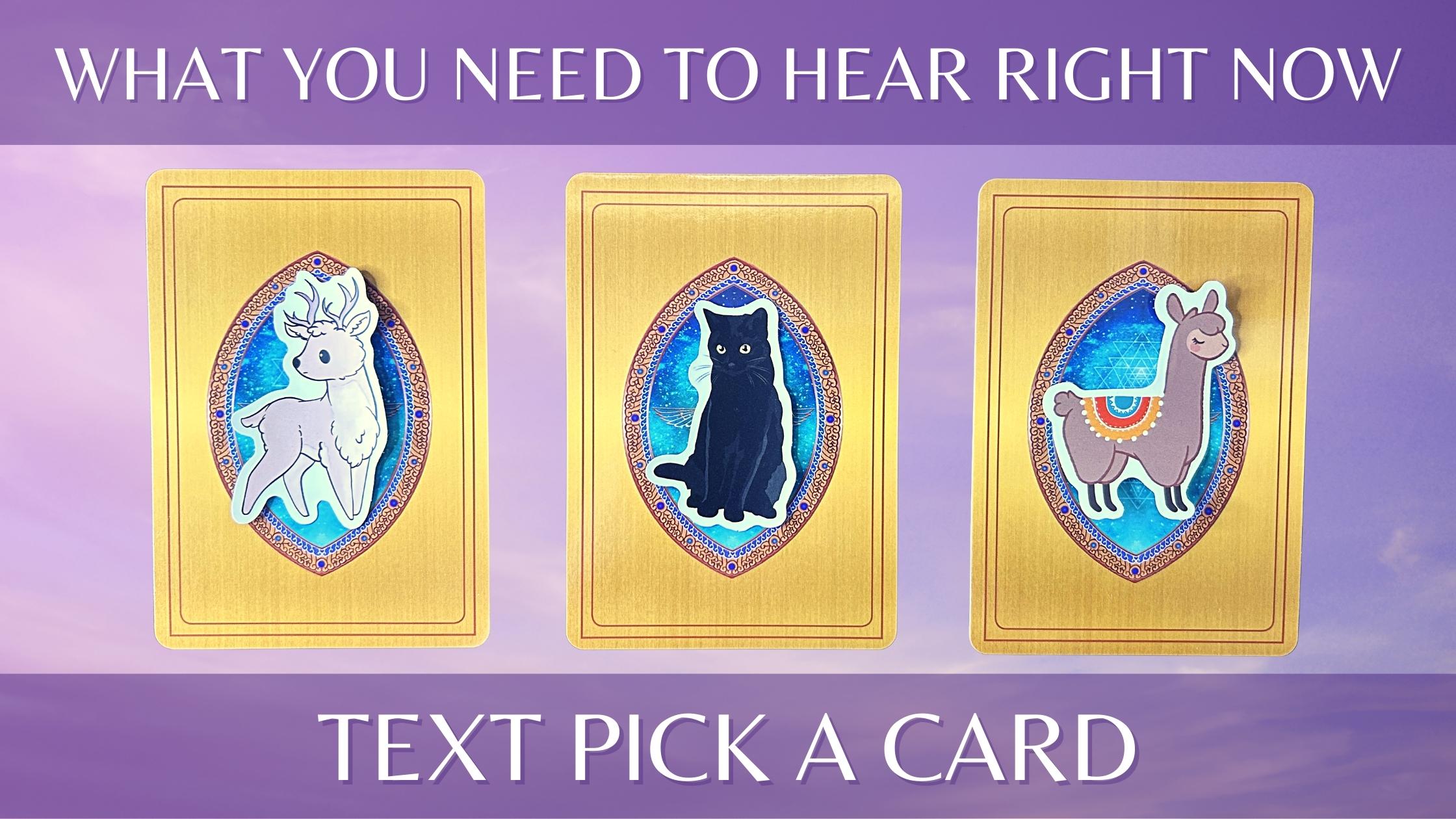 Three oracle cards with animal illustrations on them