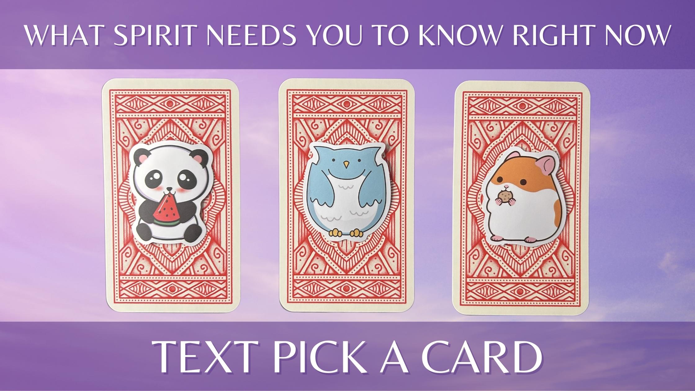 Three tarot pick a card piles with animal stickers on them