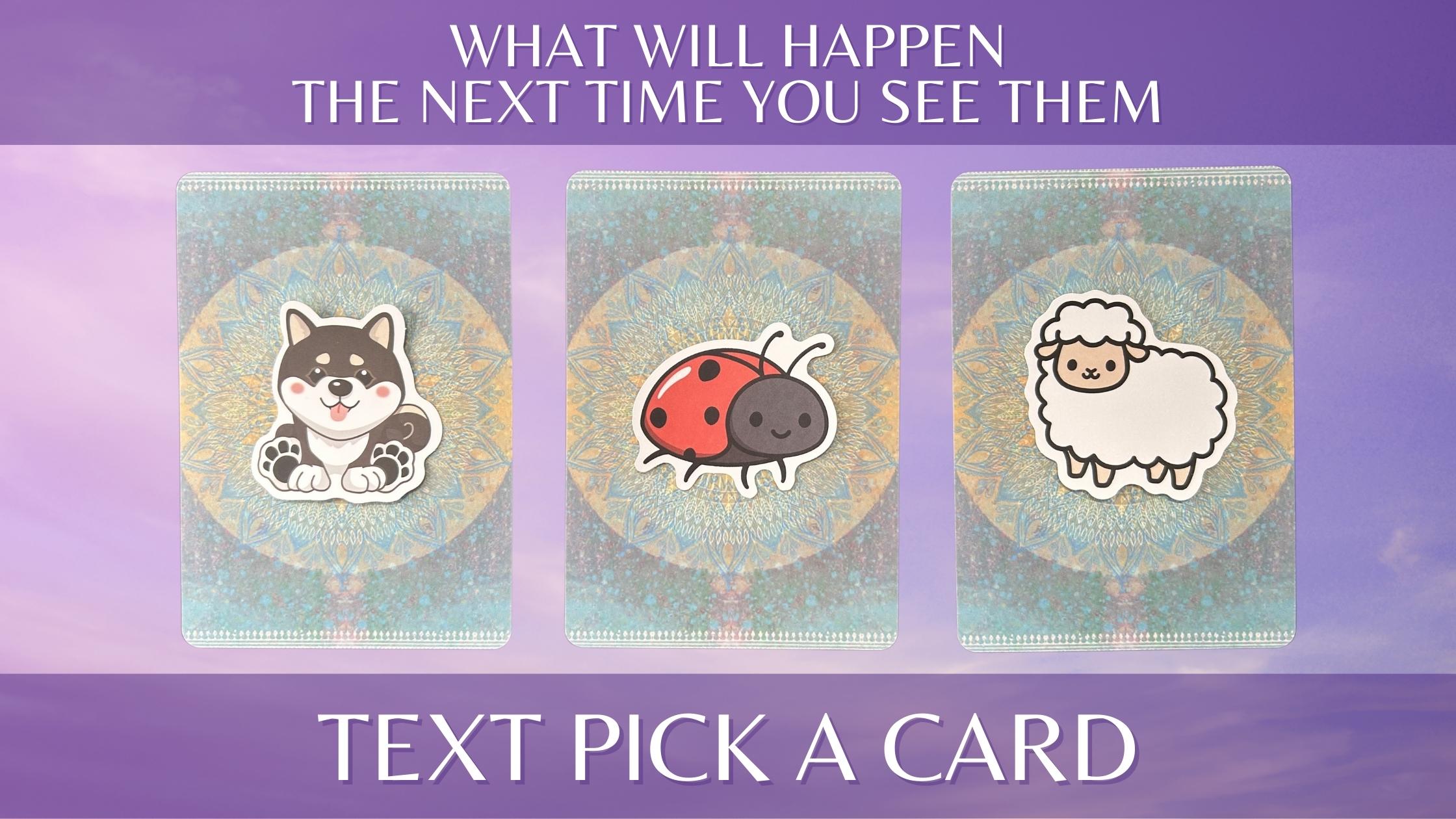 Three oracle pick a card piles with animal illustrations on them