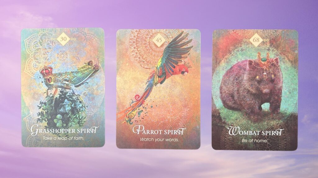 Cards from the Animal Spirit Oracle