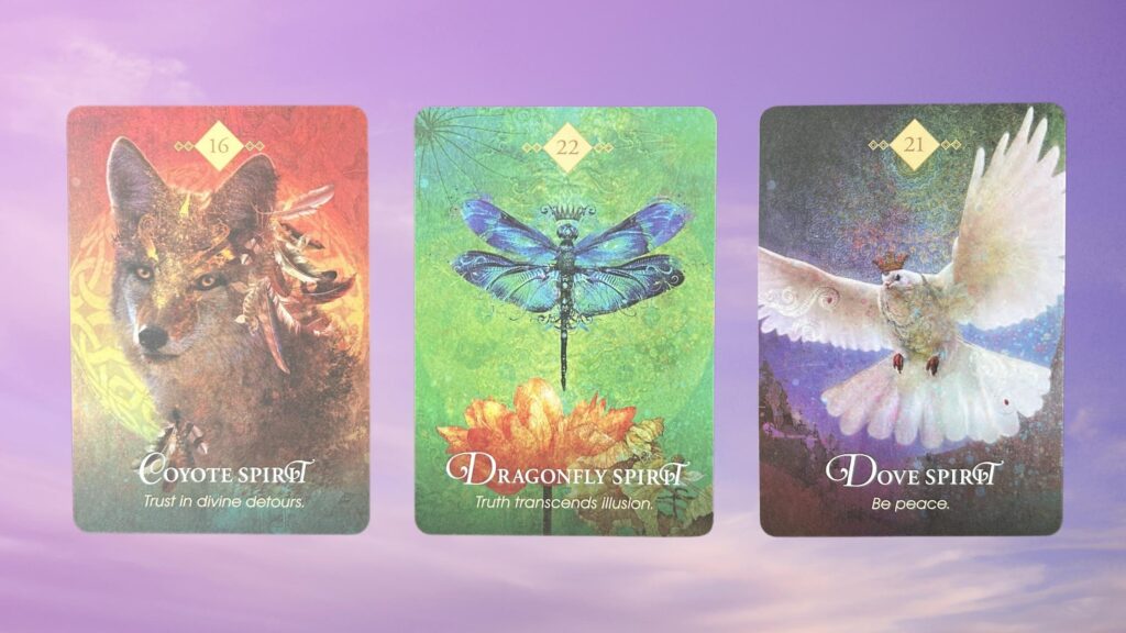 Cards from the Animal Spirit Oracle deck