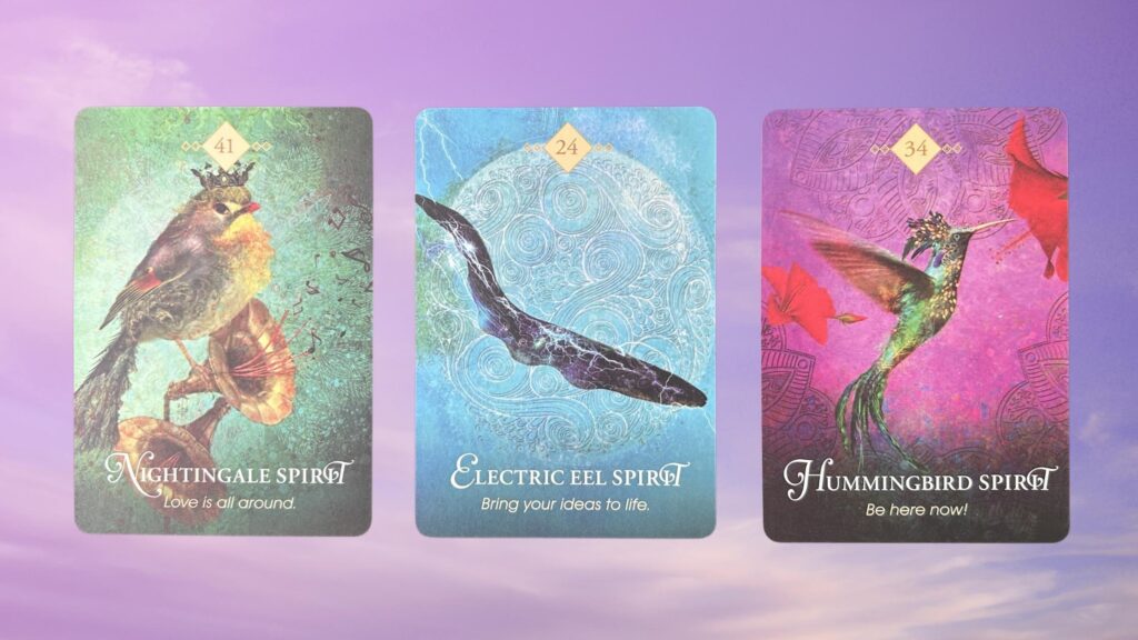 Cards from the Animal Spirit Oracle Deck