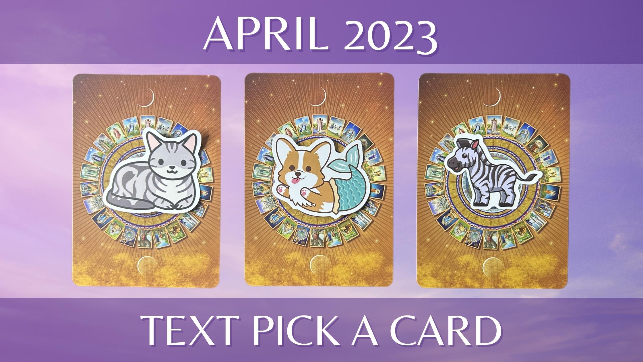 Three tarot pick a card piles with animal stickers on them