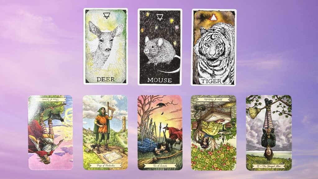 Cards from the Wild Unknown Animal Spirit Oracle and the Everyday Witch Tarot decks