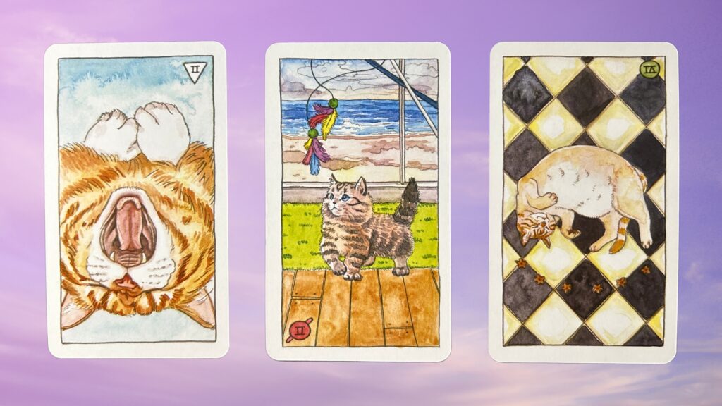 Cards from the Cat Tarot deck