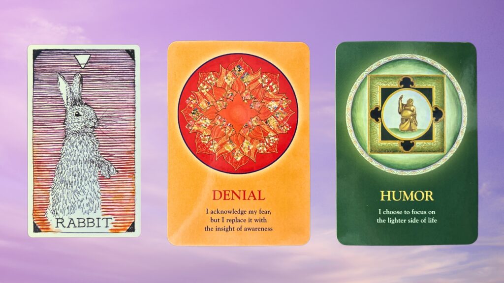 Cards from the Wild Unknown Animal Spirit Oracle and the Soul's Journey Lesson Oracle decks