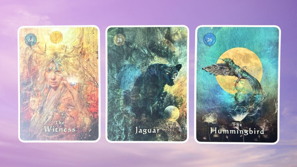 Three cards from the Mystical Shaman Oracle deck: The Witness, Jaguar, and The Hummingbird