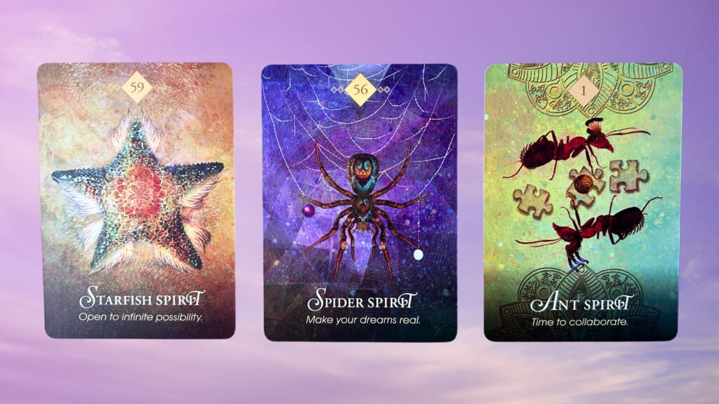 Cards from the Spirit Animal Oracle deck: Starfish Spirit, Spider Spirit, and Ant Spirit