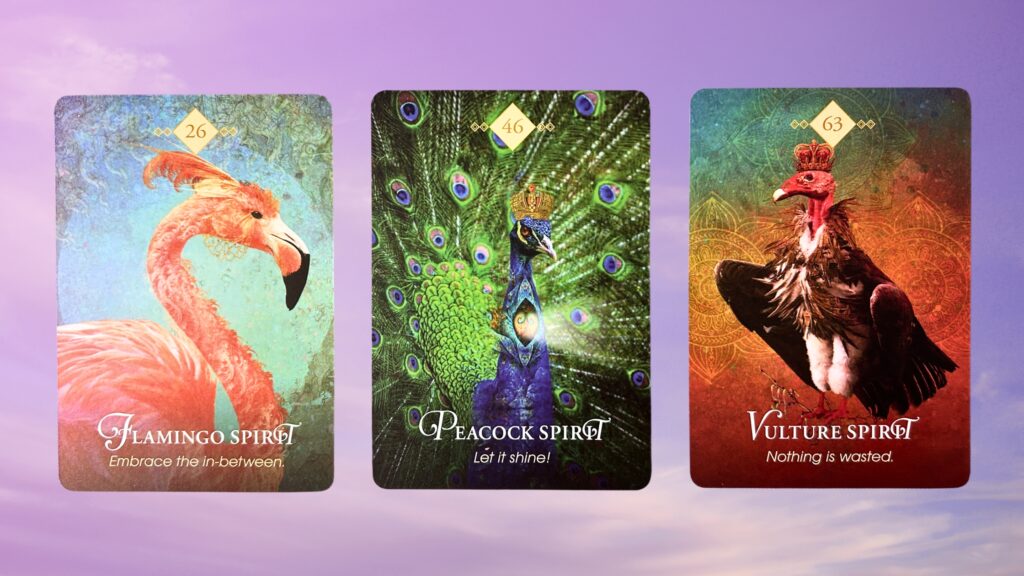 Cards from the Animal Spirit Oracle deck: Flamingo Spirit, Peacock Spirit, and Vulture Spirit