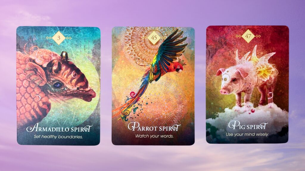 Cards from the Animal Spirit Oracle deck: Armadillo Spirit, Parrot Spirit, and Pig Spirit