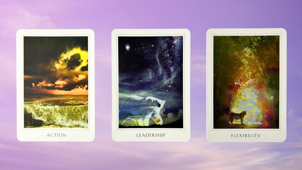 Cards from the Sacred Destiny Oracle deck: Action, Leadership, and Flexibility