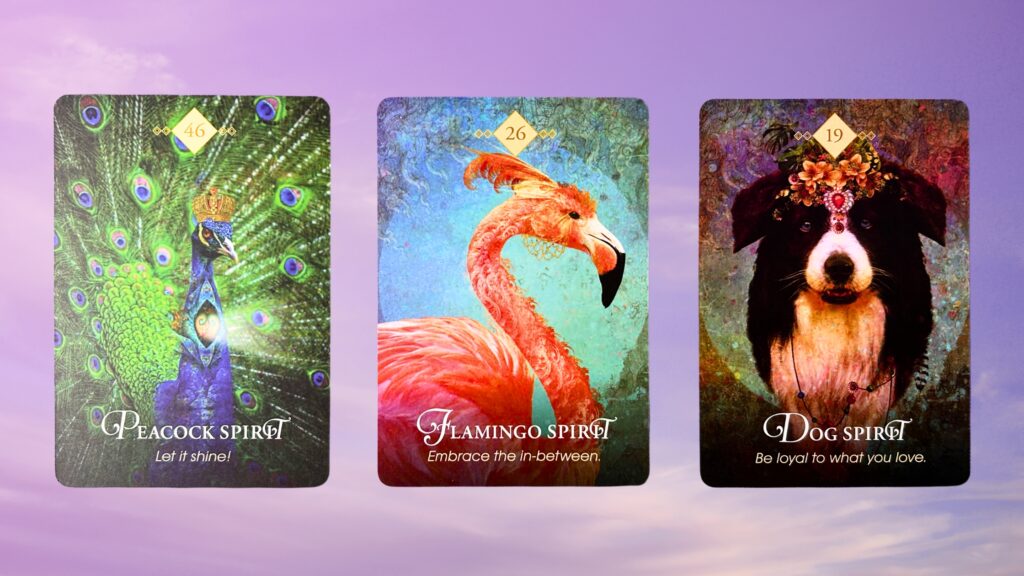 Cards from the Animal Spirit Oracle deck