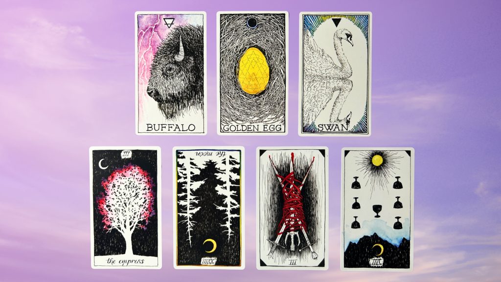 Cards from the Wild Unknown Spirit Animal oracle and Tarot decks