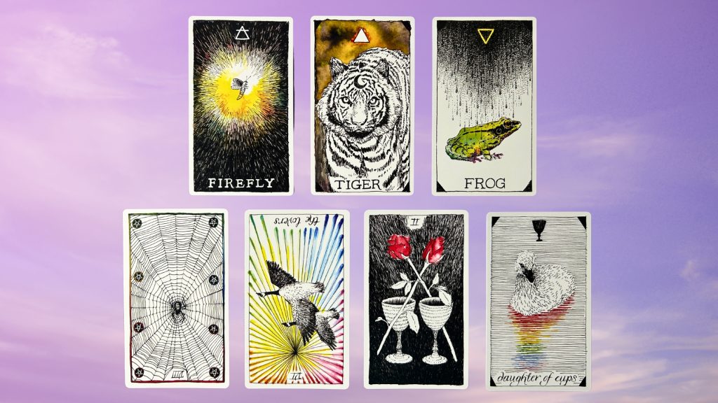 Cards from the Wild Unknown Spirit Animal Oracle and Tarot decks